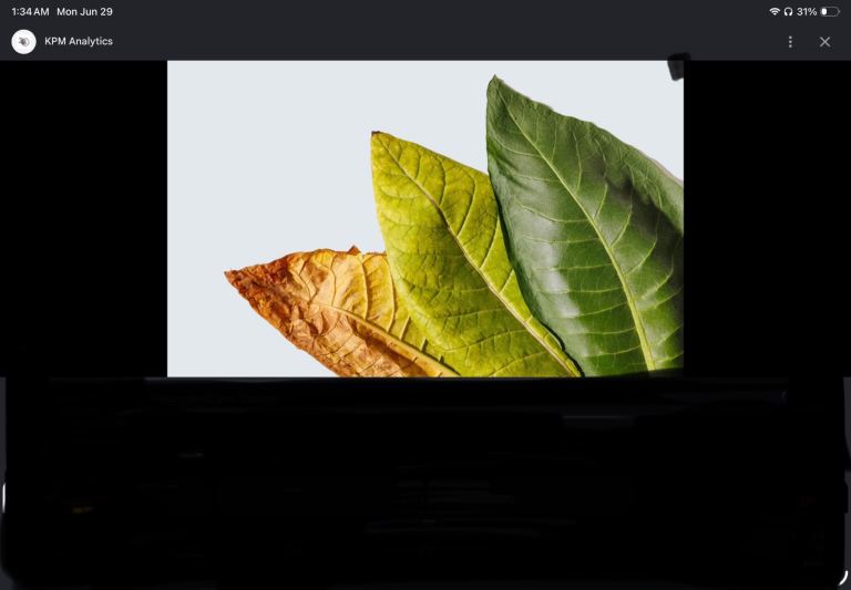A LEAF