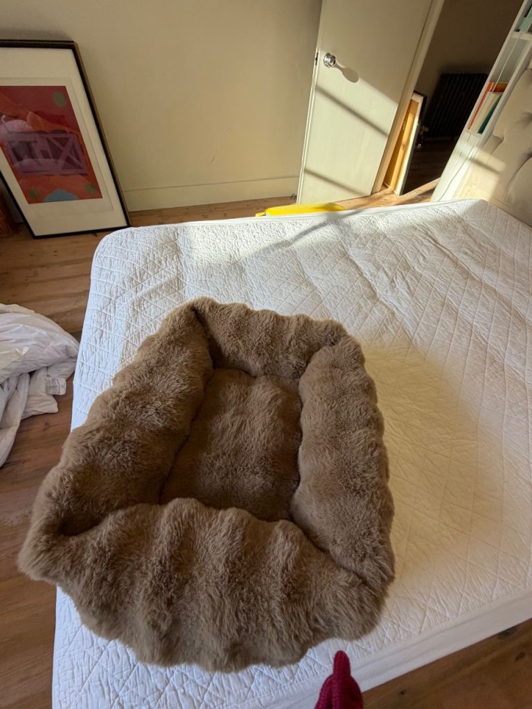 New scruffs bed size Medium