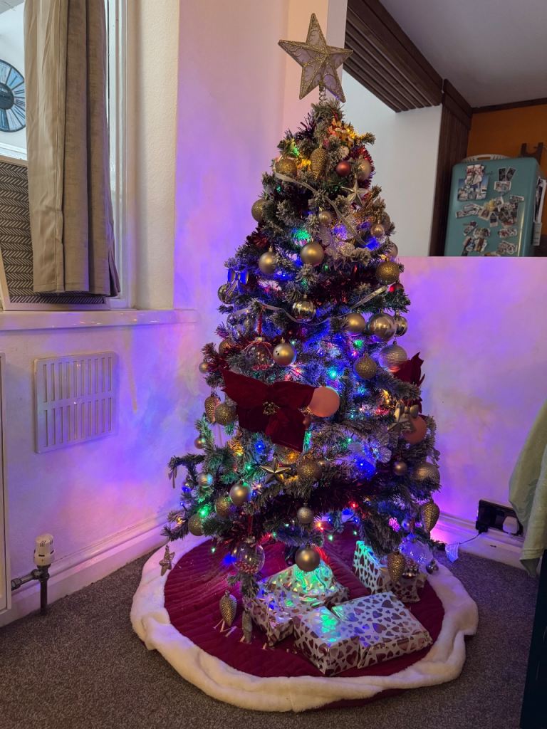 Christmas tree + decoration 