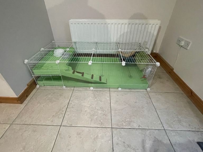 Kavee C&C 4X2 Cage with loft and ramp with accessories 