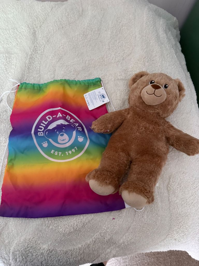 Build a Bear Workshop Bear and BNWT Bag