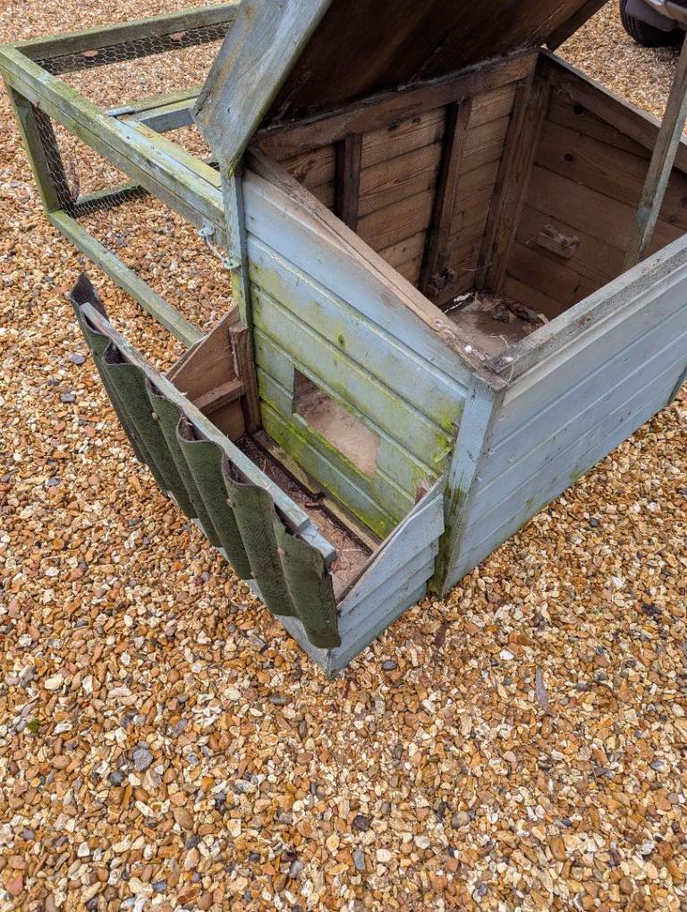 Hen run / chicken coop