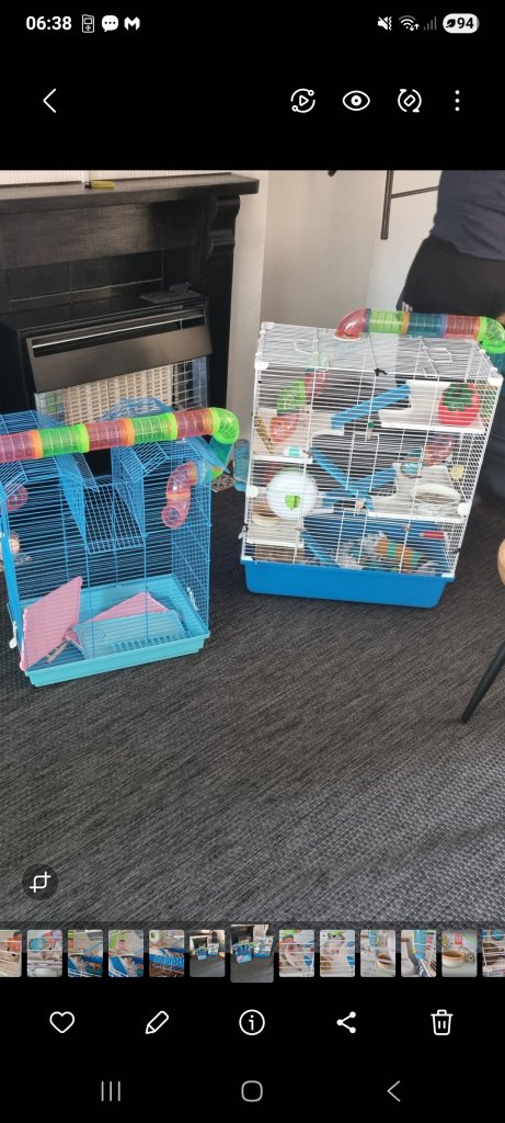 Two Hamster Cages with Tunnels, Wheels, and Accessories