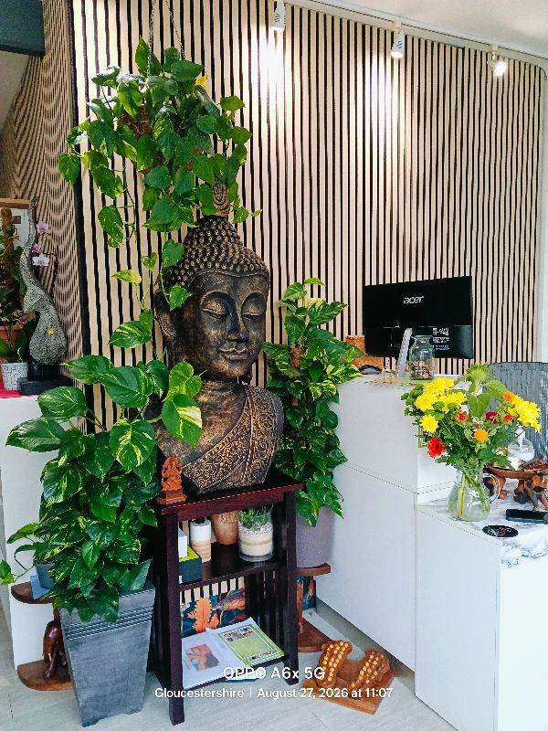 Thai tonic massage and therapy 
