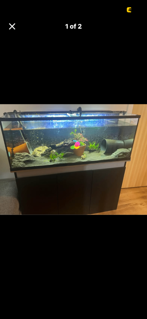 Large Aquarium Fish Tank with Sturdy Black Cabinet