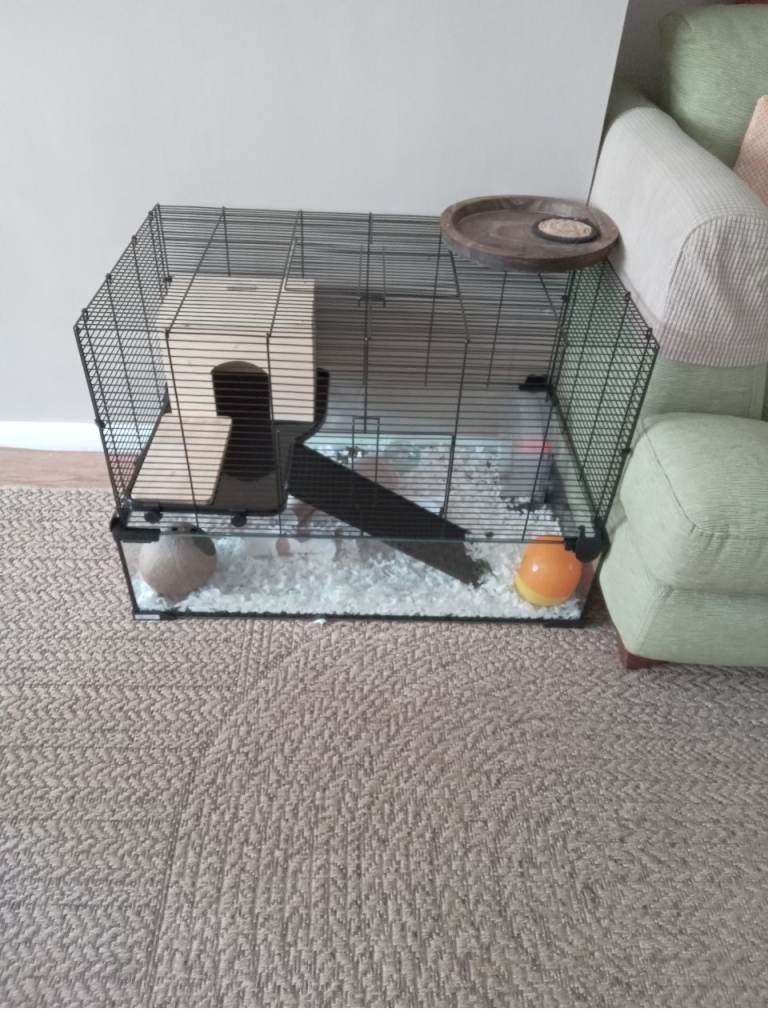 Gerbil/hamster cage