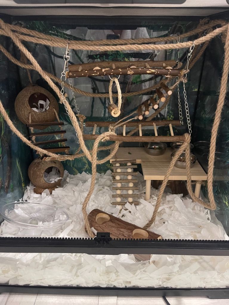 Exo Terra Pro Terrarium 60 x 45 x 60cm hamster /mice /dormice cage 