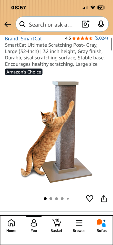 Smart Cat - Cat Scratching post 