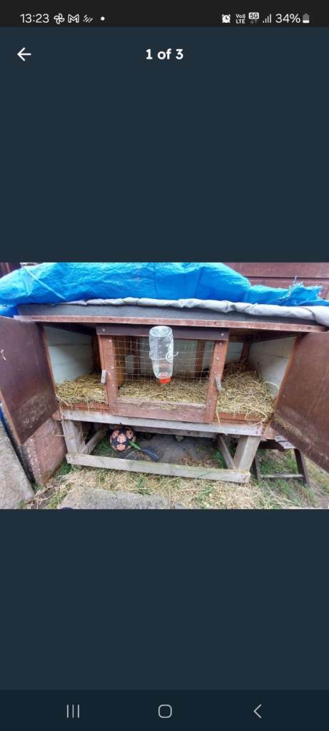 Rabbit/guinea pig hutch.