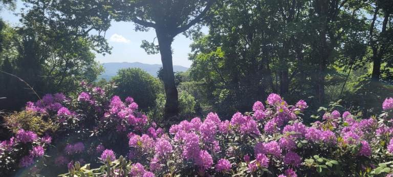 Stunning Location in Snowdonia