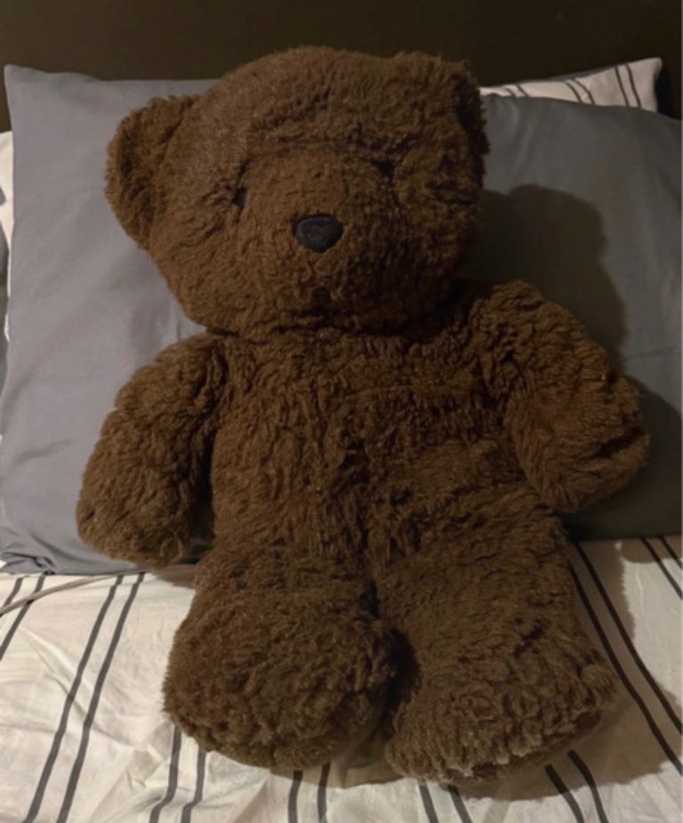 Teddy