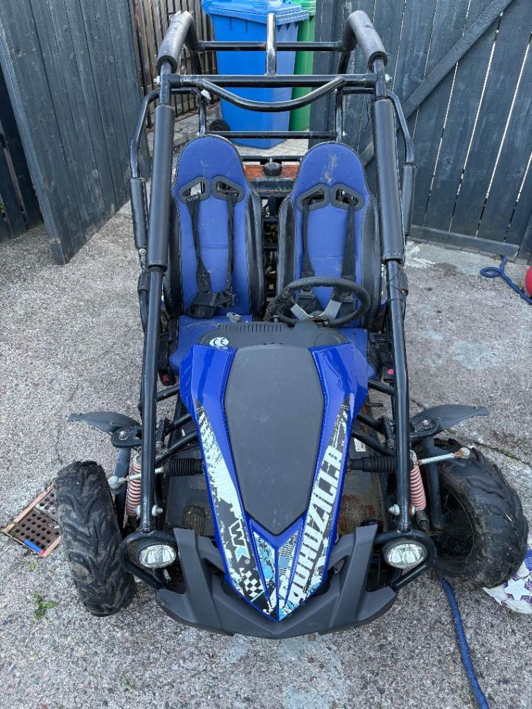 Quadzilla Junior Buggy