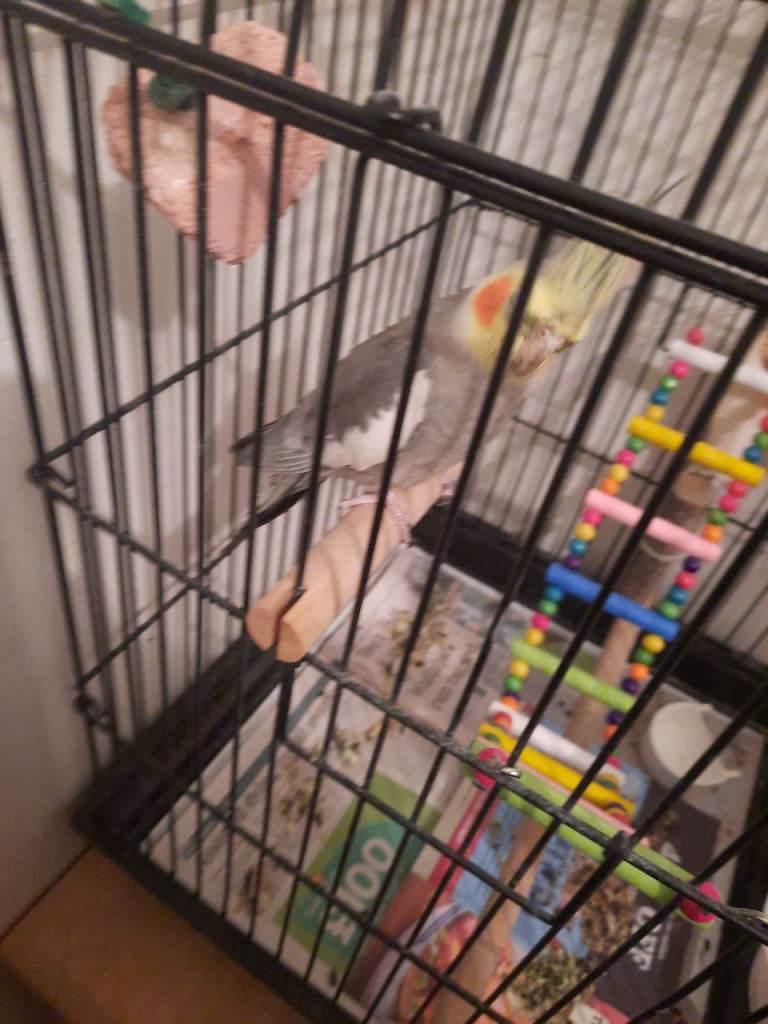 Coco 