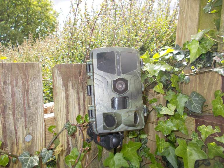 Wild Trail cam HC- 809A 4K 