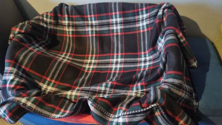 Foam dog bed medium size pet accessory puppy FREE Blanket £5