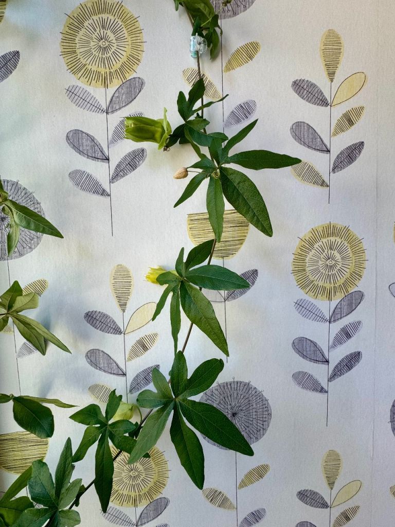 Passion fruit plant (180 cm tall)