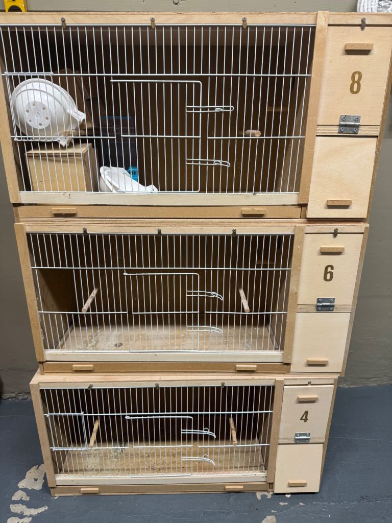 Breeding cages x3 budgies breeding cages 