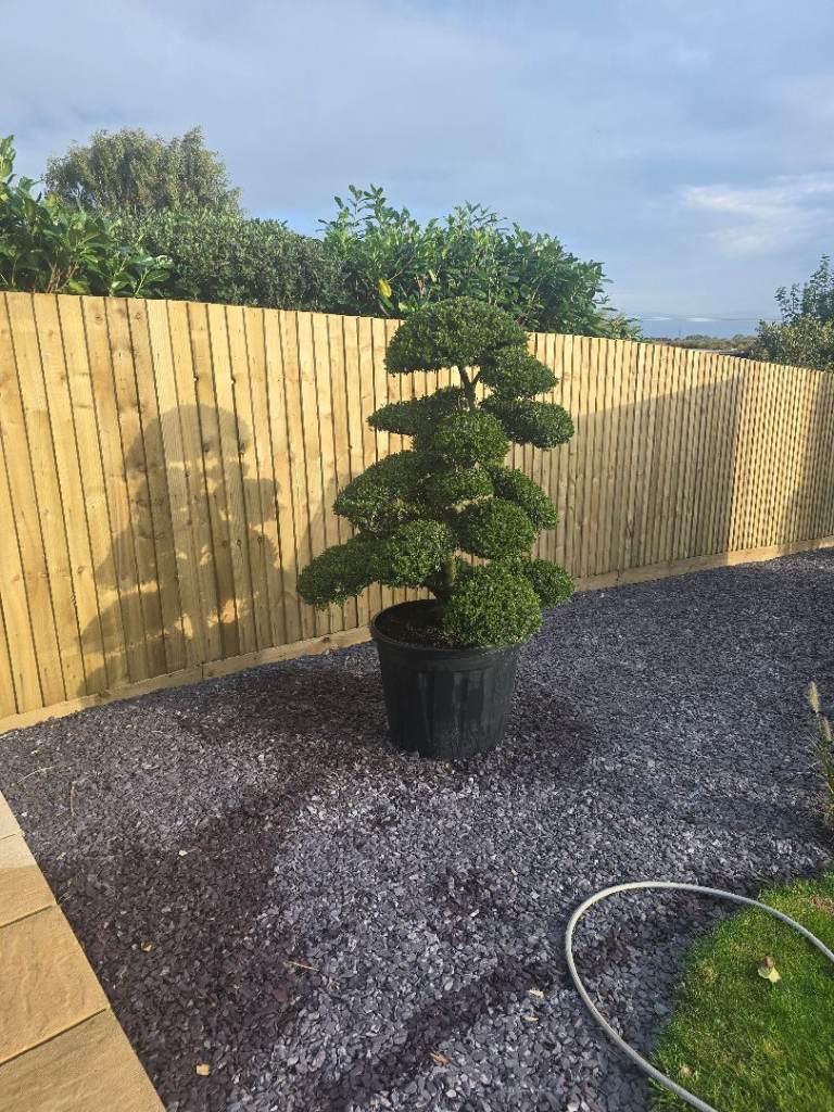 Refresh home maintenance