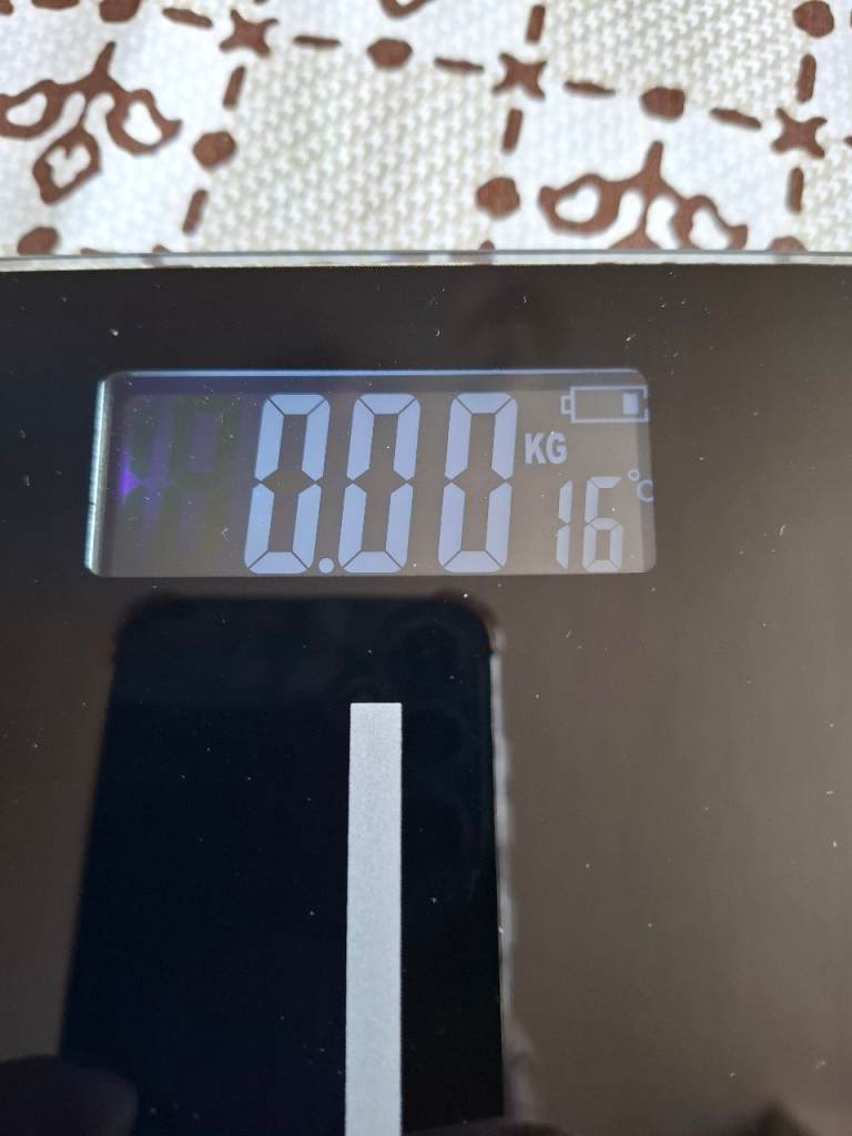 Digital bathroom scale 