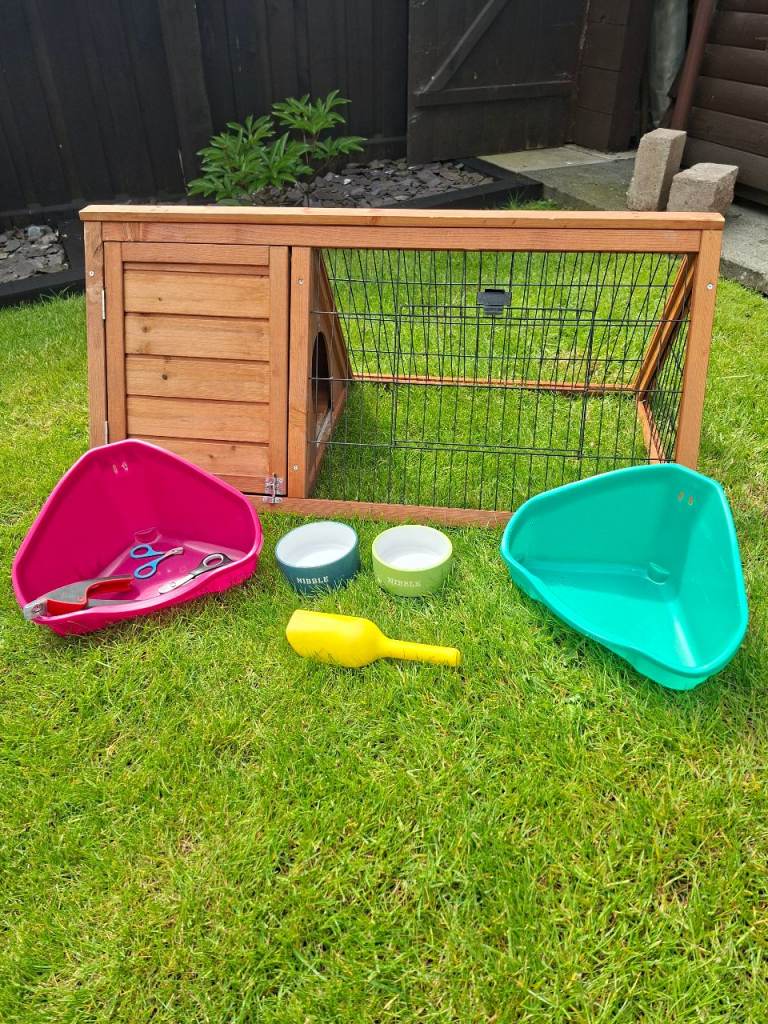 Guinea pig hutch and accessories 