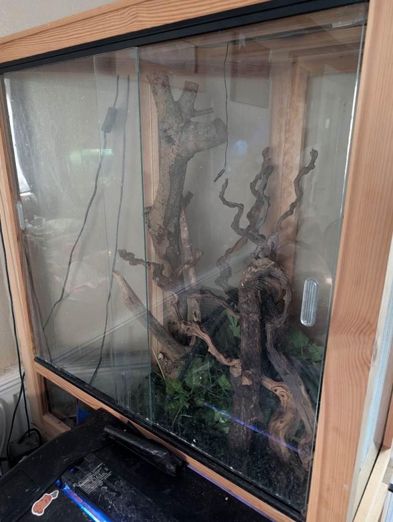 Vivarium and accessories 