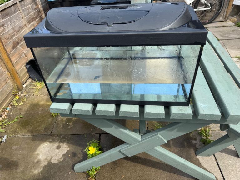 Fish tank 
