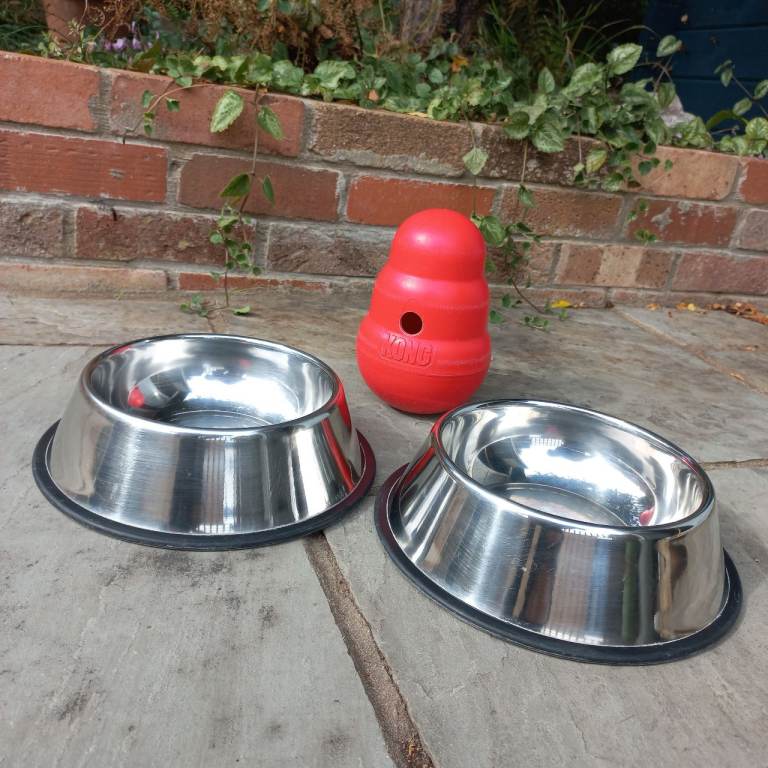 Dog Bowls and Giant Feeding Kong
