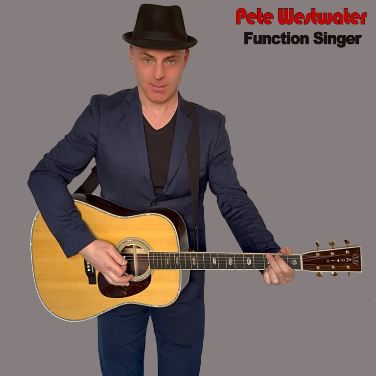 Professional singer/guitarist seeking function band