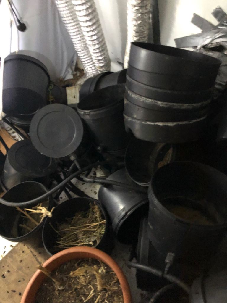 Job lot massive lot  Growing equipment need gone asap