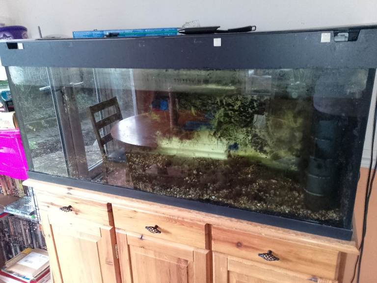 Aquarium Fish Tank Jewel 240 Tropical