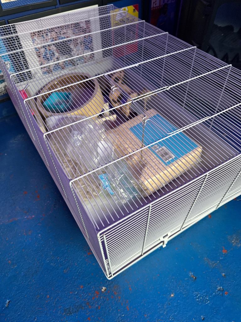 Hamster cage and accessories 