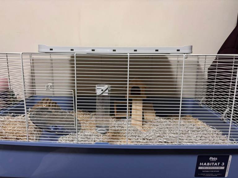 Pets at Home Habitat 3 Hamster Cage & Complete Starter Bundle – Excellent Condition