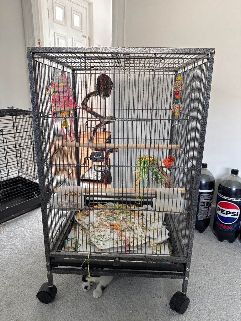 Bird cage