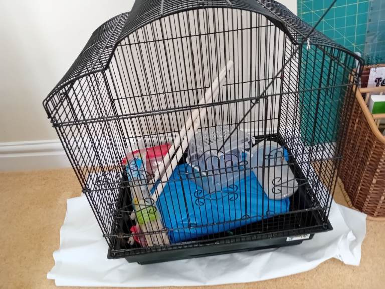FREE BIRD CAGE