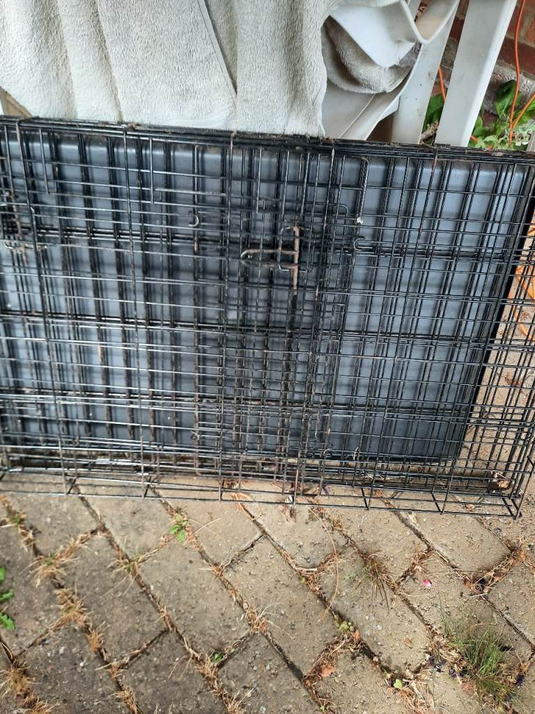 Dag crate by pets at home