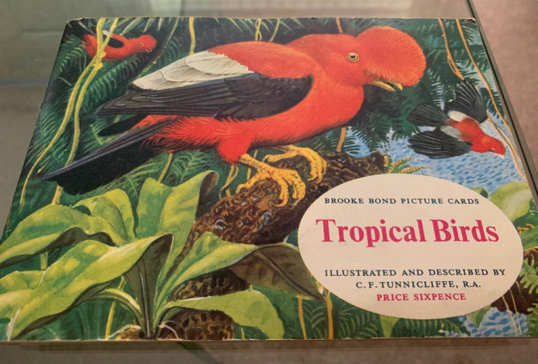 3 Brooke Bond Picture Card albums 