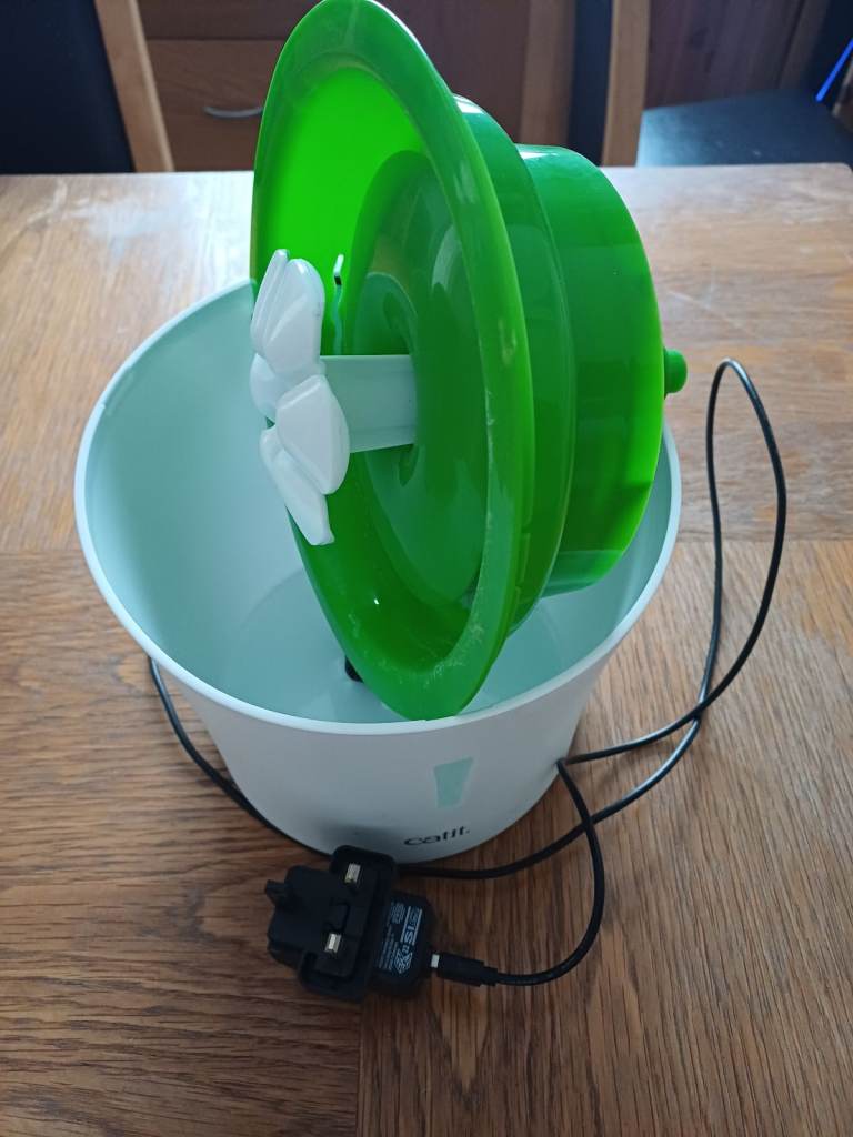 Cat drinking  water  fountain 