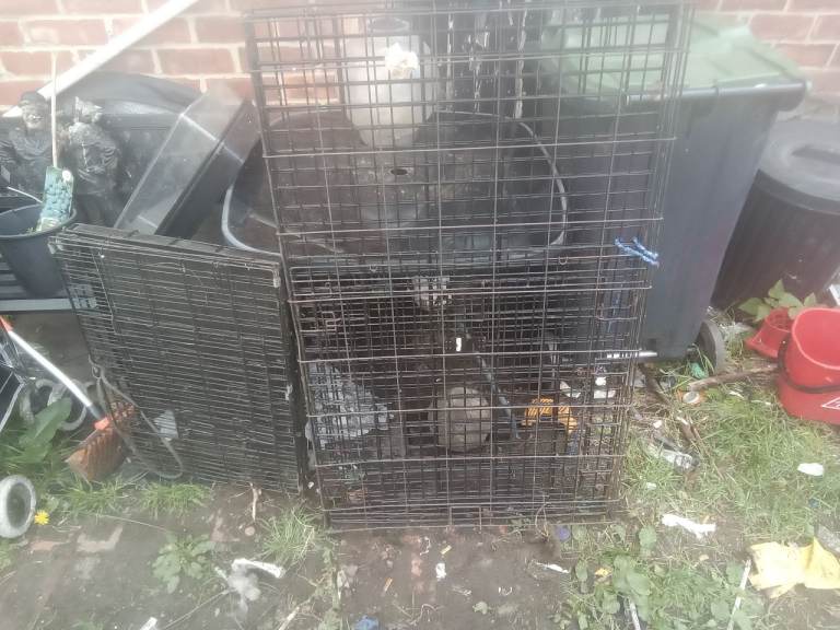 Small medium and xl dog crates 