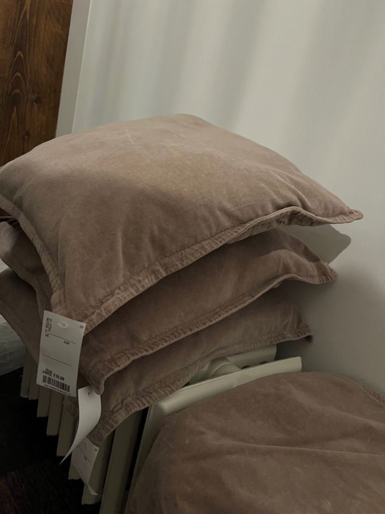 3 x Brand New Taupe Velvet Cushions + 1 x Cover