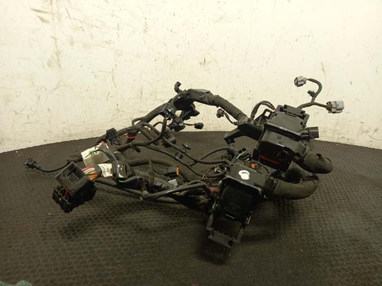 2019 Hyundai I30 Wiring Harness