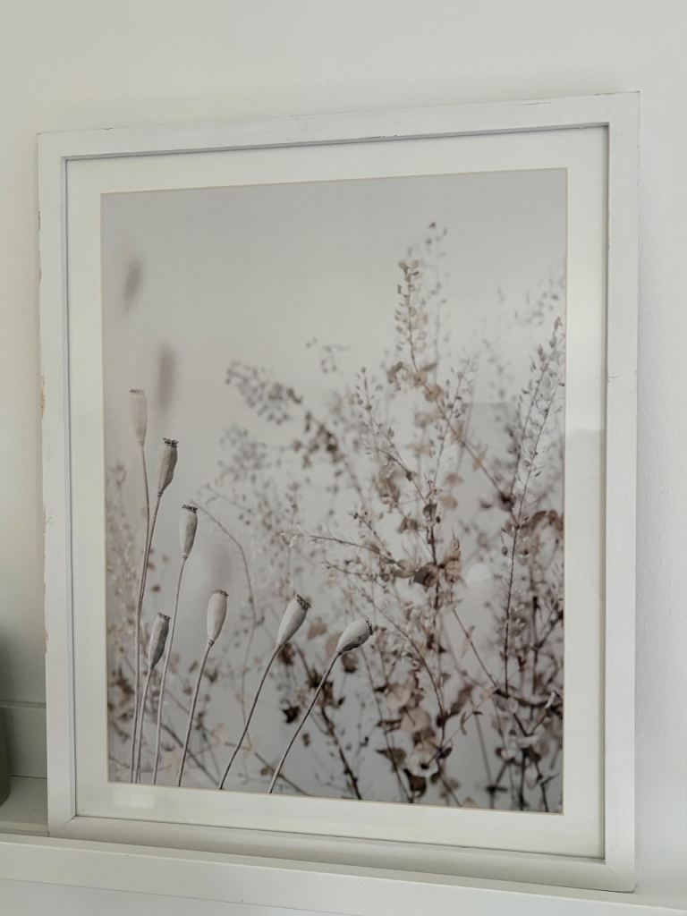 Set of 2 Botanical Wall Art Prints