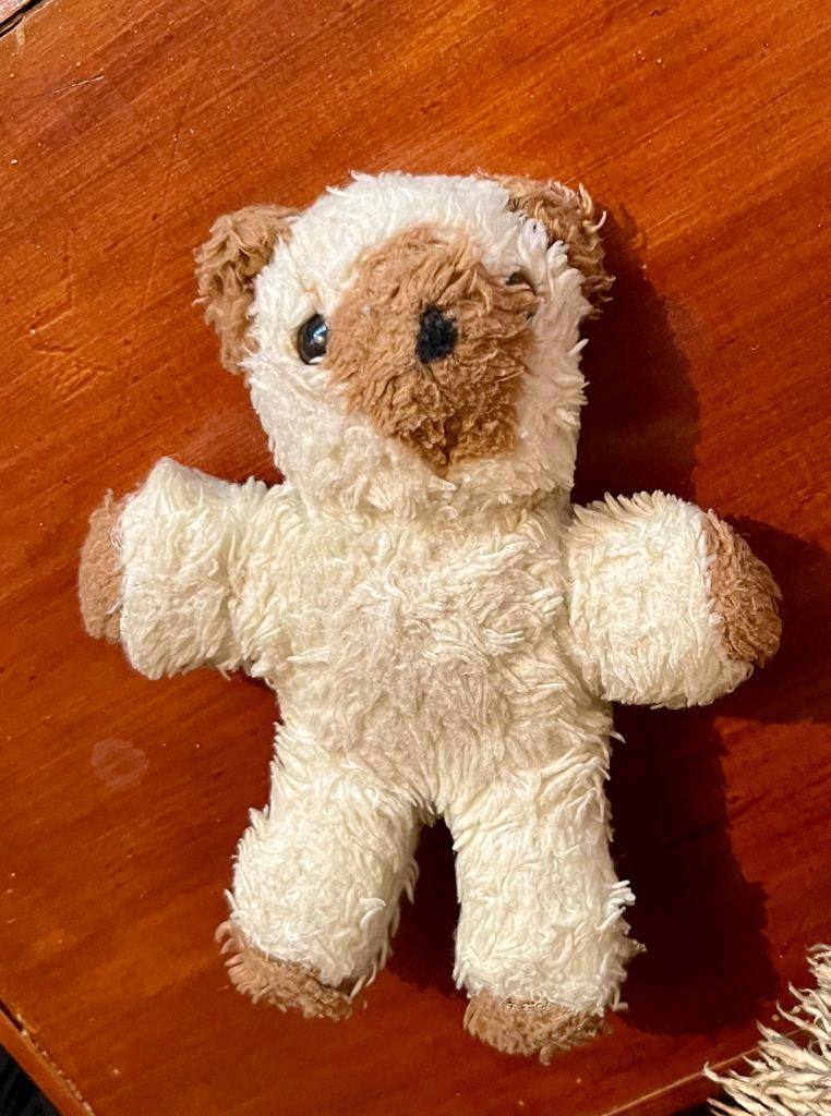 Vintage teddy 