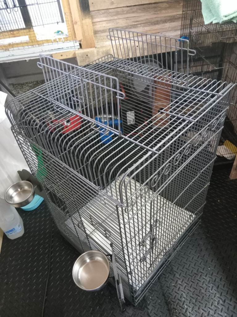 Cages 
