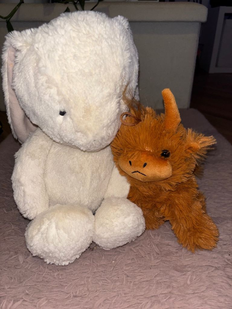 Teddy Bears 