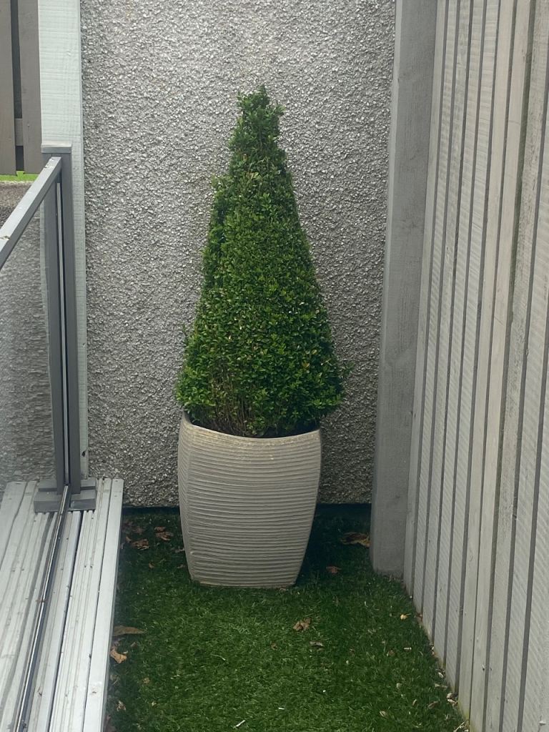 Dobbies Stone Garden Pots with Plants