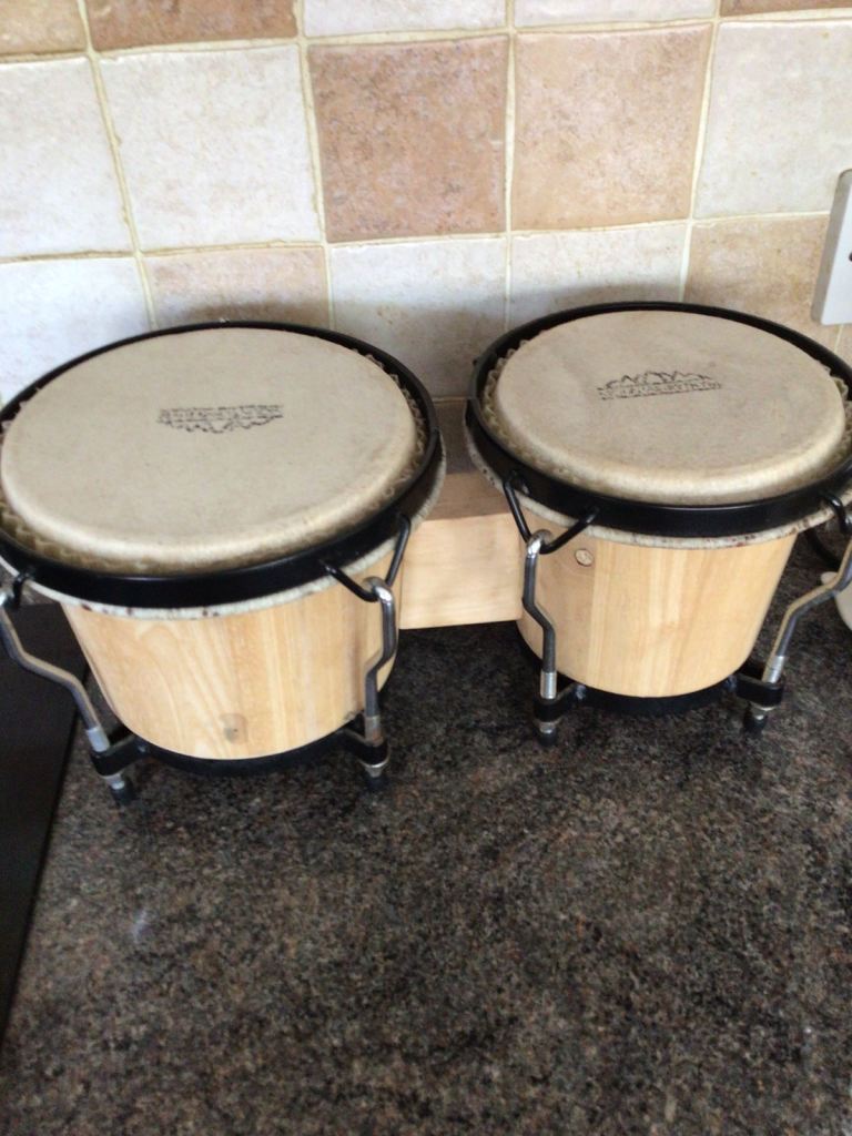 Bongo drums 
