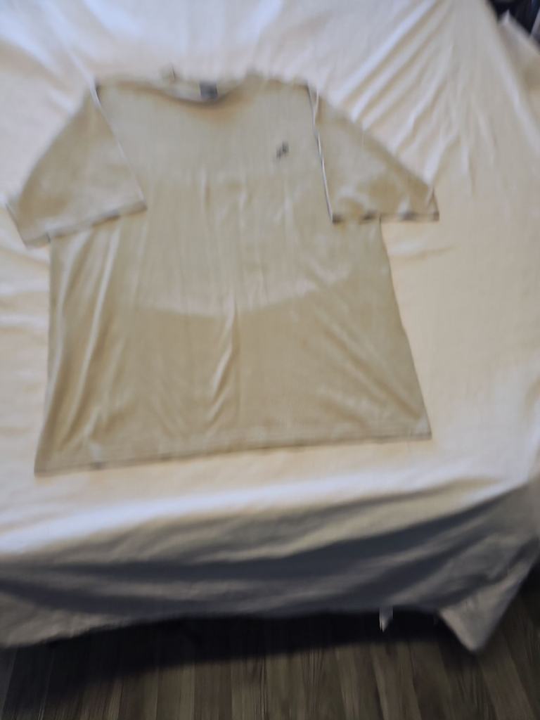 Vintage Gecko Hawaii Beige Graphic T-Shirt approx xxl BB928