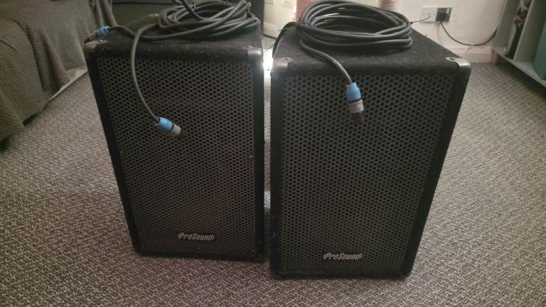 ProSound PS10 Version II PA/DJ Speakers (Pair) ea. 150W RMS / 800W Peak 8Ω