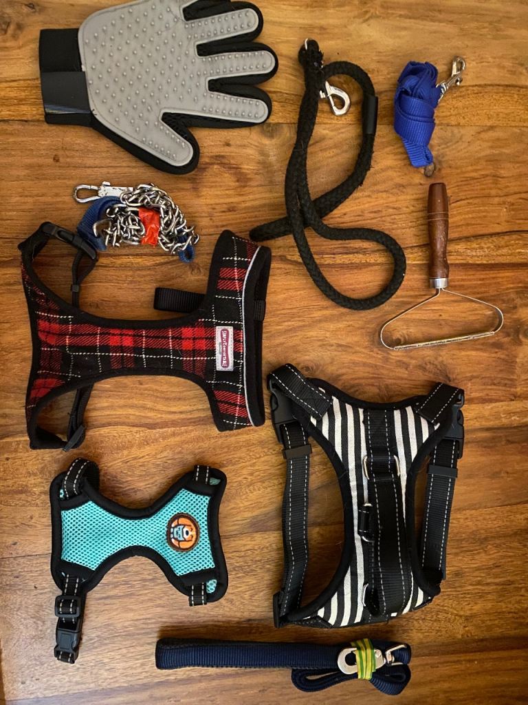 Assortment of dog supplies