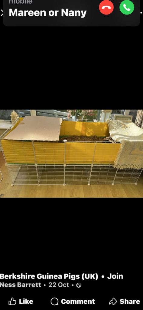 CC 6x2 guinea pig cage with stand 